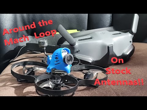 DJI Goggles 2 + Vista: Range Test