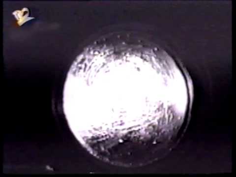 Yolk (Bloodofothers)_dead by rolling