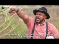 SAAMU ALAJO ( OBA JE O GBO ) Latest 2024 Yoruba Comedy Series EP 167