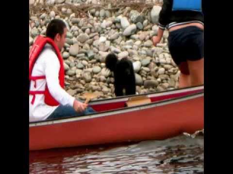 Cape Breton Hiking Adventures--Glooscap Cave