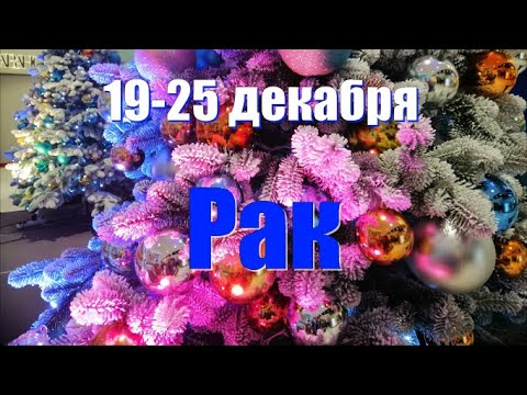 19-25 декабря.РАК ♋️