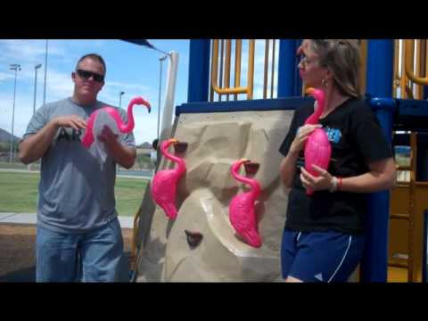 Great Flamingo Race