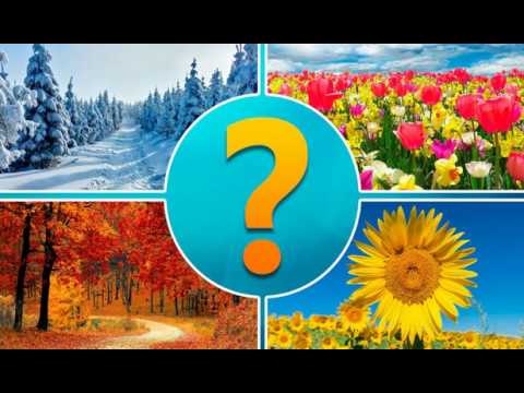 4 pictures 1 word