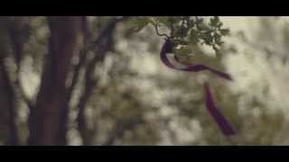 Songtext von Allman Brown feat. Liz Lawrence - Sons and Daughters Text Musik-video-Miniaturansicht