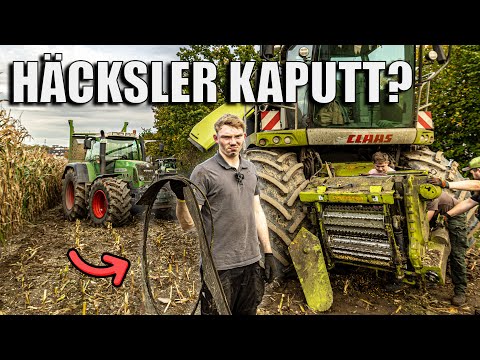 Es läuft nicht nach Plan! - Maisernte bei Klaas  🌽