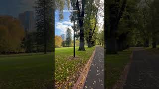 1-Minute Walk in Melbourne 🇦🇺 Shall we?🍃1分散歩♡#melbourne #walking