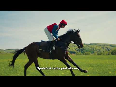 BICZ opět podporuje dostihový spolek - již po šesté