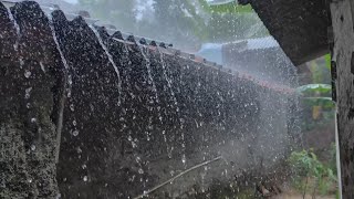 Download lagu Very Heavy Rain And Strong Wind Makes The Atmosphere Very Quiet Very Comfortable For Resting mp3 Download lagu Very Heavy Rain And Strong Wind Makes The Atmosphere Very Quiet Very Comfortable For Resting mp3