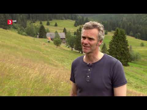 Der Natur auf der Spur – Abenteuer wilder Südwesten Doku (2016)