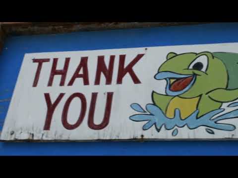 Murdocks Fresh Fish And Seafood