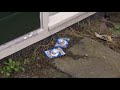 Ravage door witte verf in achtertuin