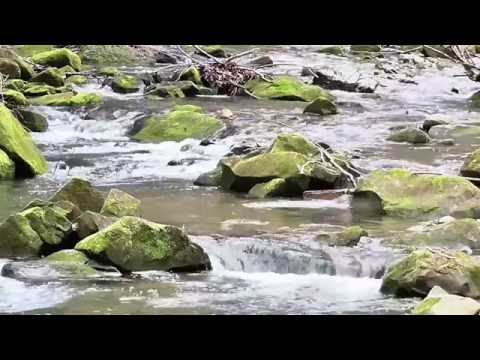 MEgional 2016 09 27 - Unsere Nachrichten für das Mittlere Erzgebirge