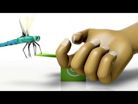 EdVenture Animated Commercial