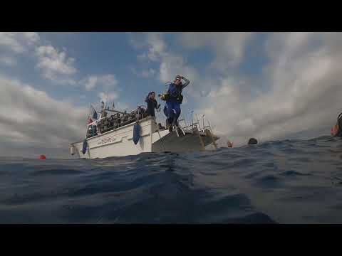 SASBA disfruta de una gran jornada de buceo en Ullastres II