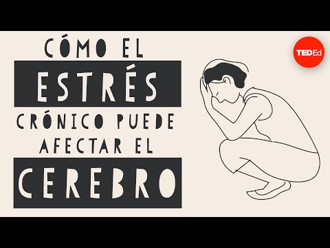 Cómo afecta el estrés a tu cerebro - Madhumita Murgia