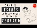 Cómo afecta el estrés a tu cerebro - Madhumita Murgia