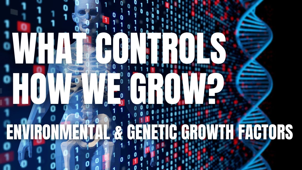 Environmental and Genetic Growth Factors: What Controls How You Grow? | Middle School Science