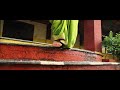 मेघ सावळा माझा राया MARATHI PRE WEDDING SONG
