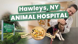 Animal Hospital Hawleys, NY