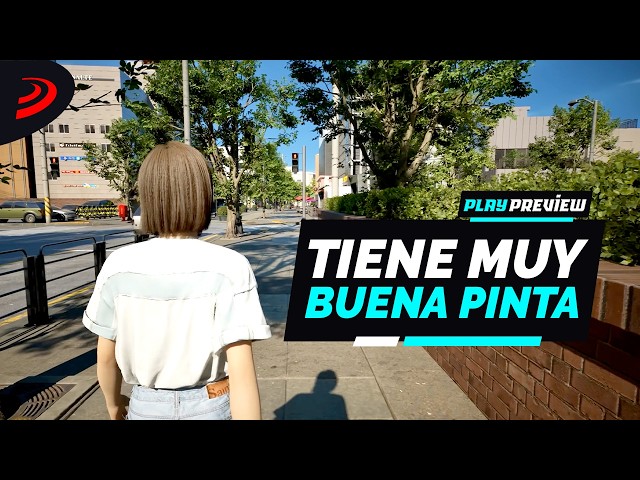 Video preview