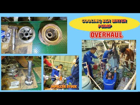[Centrifugal Pump] Ship's Main Cooling Sea Water Pump Overhaul  #marineengineer #pump 