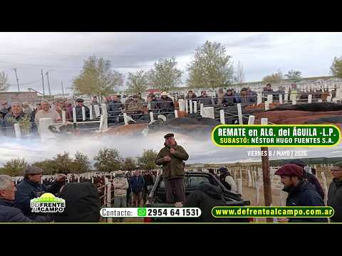 REMATE de NÉSTOR HUGO FUENTES S.A. en ALGARROBO del ÁGUILA -L.P.- - VIERNES 8 / MAYO / 2026 -