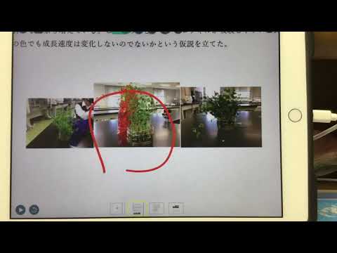 植物の成長と光の色の関係