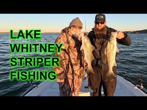 Fast Lake Whitney Striper Fishing Top Water Action – Huge Gar Comes Off at the Boat