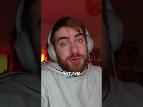 Les Hérissons Africain à Ventre Blanc 😍🦔 #shorts