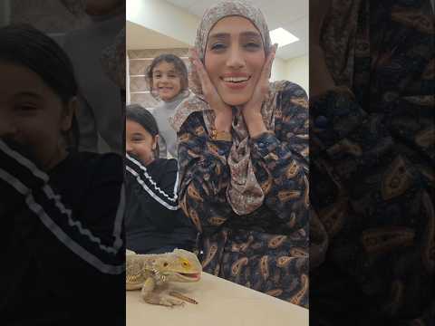 ملاطفة حيوانات 🐹 حردون استرالي ملتحي ياكل يرقات الطحين