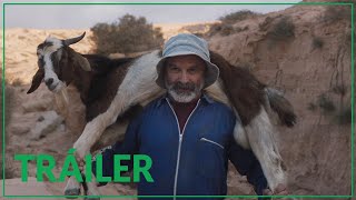 Trailer Preview Image