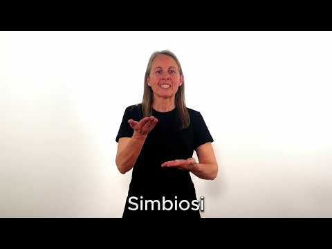 Simbiosi - LSC