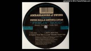 Ambassadors of Swing feat. Peter Hall and Antonia L - Feeling Good (Hall&#39;s Hard Dub)