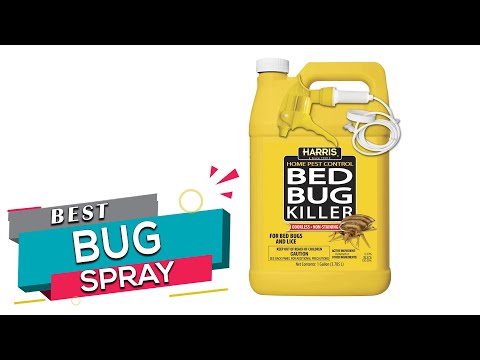Top 5 Bed Bug Sprays Review in 2022