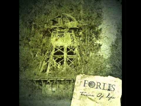 Forlis - Whitewood