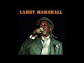 Larry Marshall- Brand New Baby