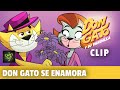 El Amor Llama A Don Gato Don Gato Y Su Pandilla Clip