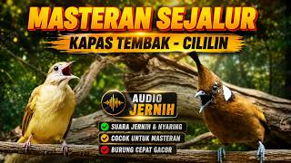 Download lagu MASTERAN MURAI BATU SEJALUR ISIAN KAPAS TEMBAK vs CILILIN! mp3