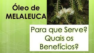 leo de melaleuca para que serve, Quais os Beneficios?