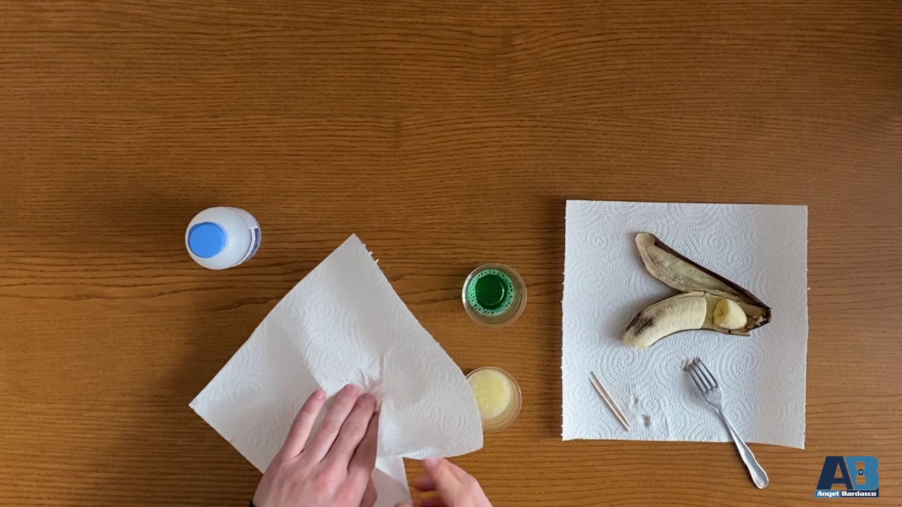 Práctica casera de laboratorio - Extracción de ADN de plátano