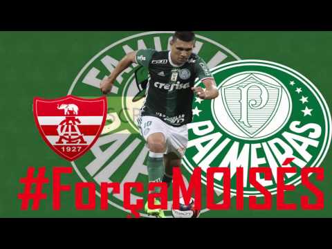 Famiglia Palestra TV - Linense 0x4 PALMEIRAS