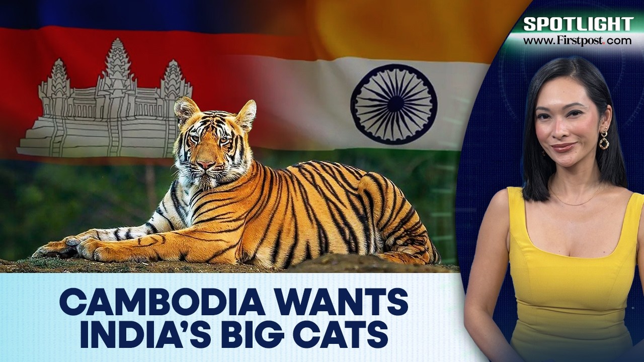 Cambodia Wants India’s Help in Restoring its Tiger Population | Spotlight | N18G