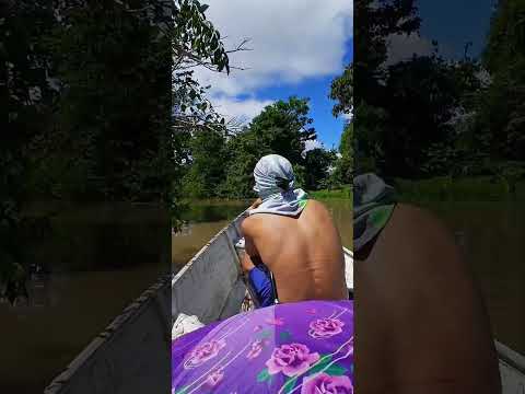 📸 Visita na Comunidade de Porto Caldas, interior do Amazonas no município de Amaturá ❤️