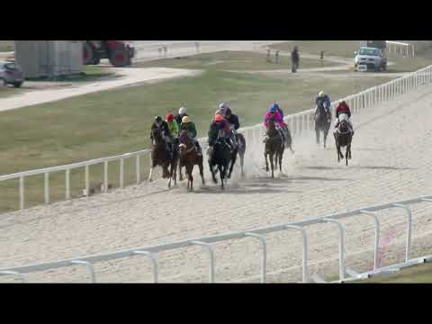 2022.04.03. 03. futam - NYERETLENEK VERSENYE (V.kat.) (szintetikus pálya)