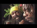 Louie Culture - Too Much Pressure On The Donkey Back | Official Music Video | Reggae Gold 2021