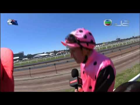 2016 The Coolmore Stud Stakes (Ascot Vale Stakes) G1 - Flying Artie (飛速雅迪) - H.Bowman