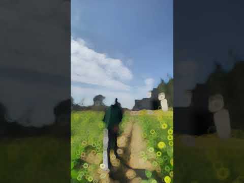 Aankhein Khuli Song | Mohabbatein | Shah Rukh Khan, Aishwarya Rai | Lata Mangeshkar, Akash Shakya