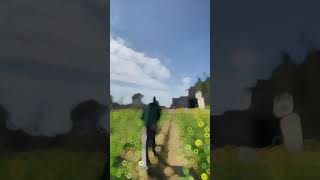 Download lagu Aankhein Khuli Song | Mohabbatein | Shah Rukh Khan, Aishwarya Rai | Lata Mangeshkar, Akash Shakya mp3