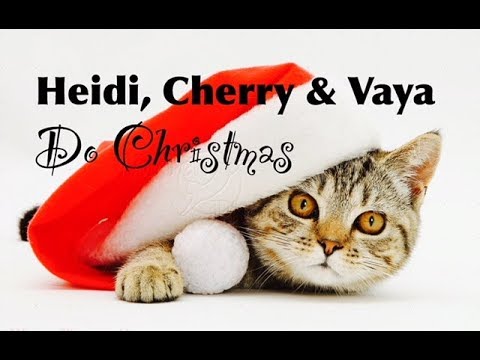 Fun Bedtime Story For Kids | Heidi, Cherry & Vaya Do Christmas