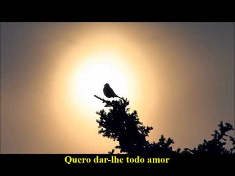 JESUS O AMIGO QUE EU QUERO TER - Interpretado por Delcio Meireles